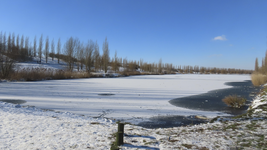 901324 Gezicht over de dichtgevroren grote waterpartij ten zuiden van de wijk Veldhuizen in De Meern (gemeente ...